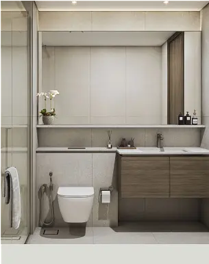 Salle de bain; carrelage, rénové, lumière naturelle, style moderne