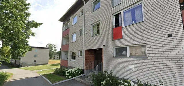 House and surroundings