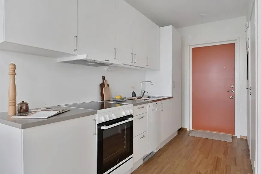 Cuisine; électroménager, parquet, lumière naturelle
