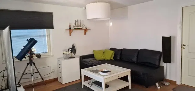 Living room; wood floor, natural light, modern style