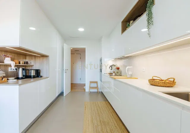 Kuchyně; kuchyňské spotřebiče, po rekonstrukci, přirozené světlo