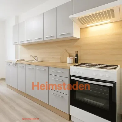 Kuhinja; kućanski aparati, renoviran, prirodna svjetlost