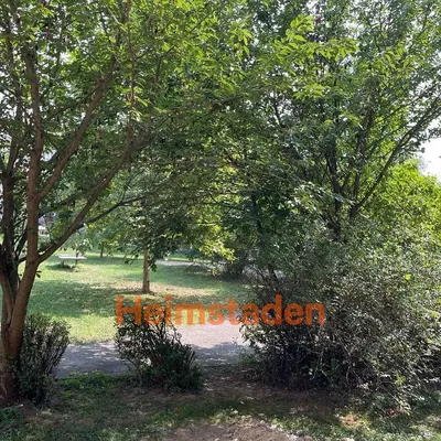 Haus und umgebung; blick, tageslicht