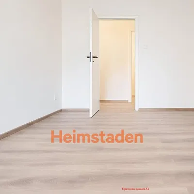 Ostatní; dřevěná podlaha, přirozené světlo