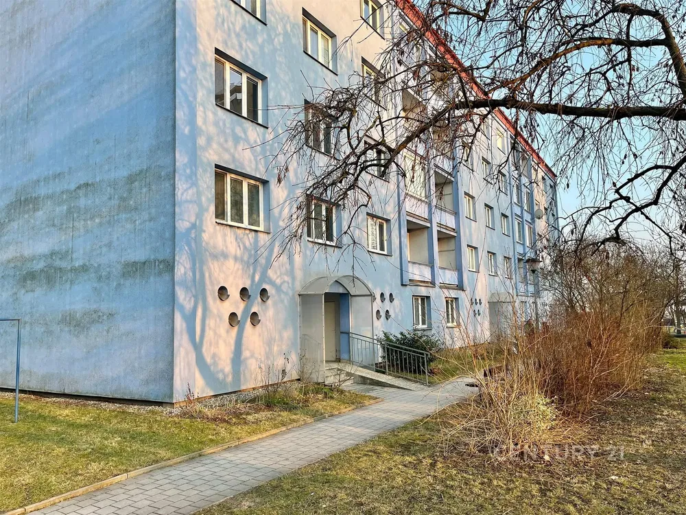 Casa e dintorni; vista