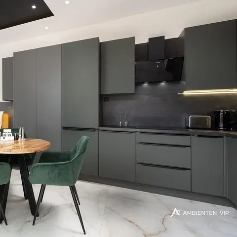 Kuhinja; kuhinjski aparati, pločice, moderni stil, renoviran, prirodno svjetlo