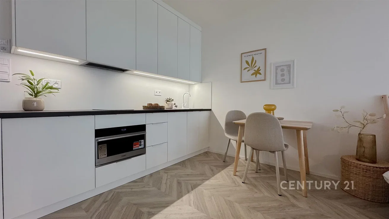 Cocina; electrodomésticos, estilo moderno, luz natural, renovado
