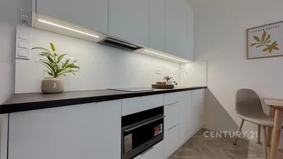 Kitchen; kitchen appliances, renovated, natural light, modern style