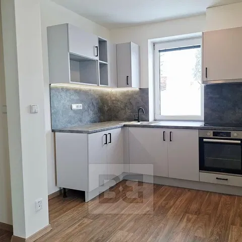 Kitchen; kitchen appliances, natural light, modern style