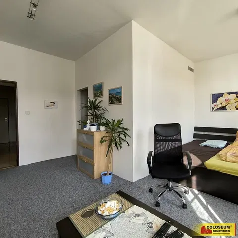 Sypialnia; światło dzienne, styl nowoczesny