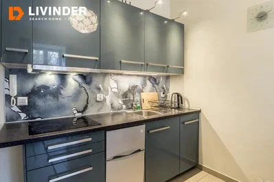 Kitchen; kitchen appliances, modern style