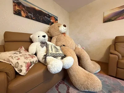 Wohnzimmer; rustikaler stil