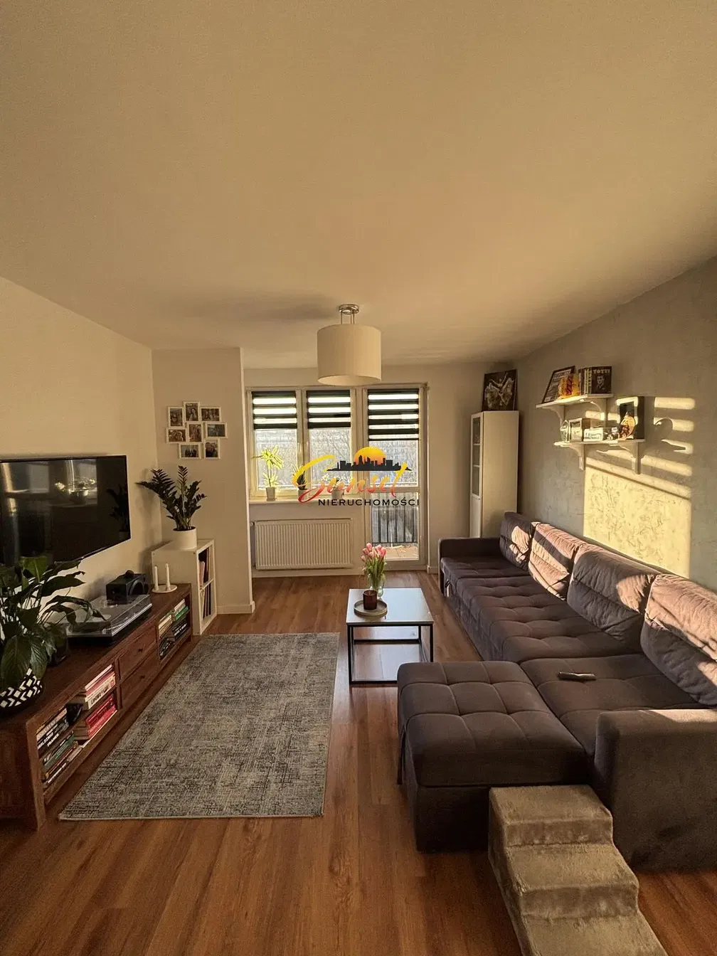 Dnevna soba; prirodno svjetlo, moderni stil