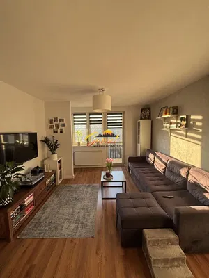 Dnevna soba; prirodno svjetlo, moderni stil