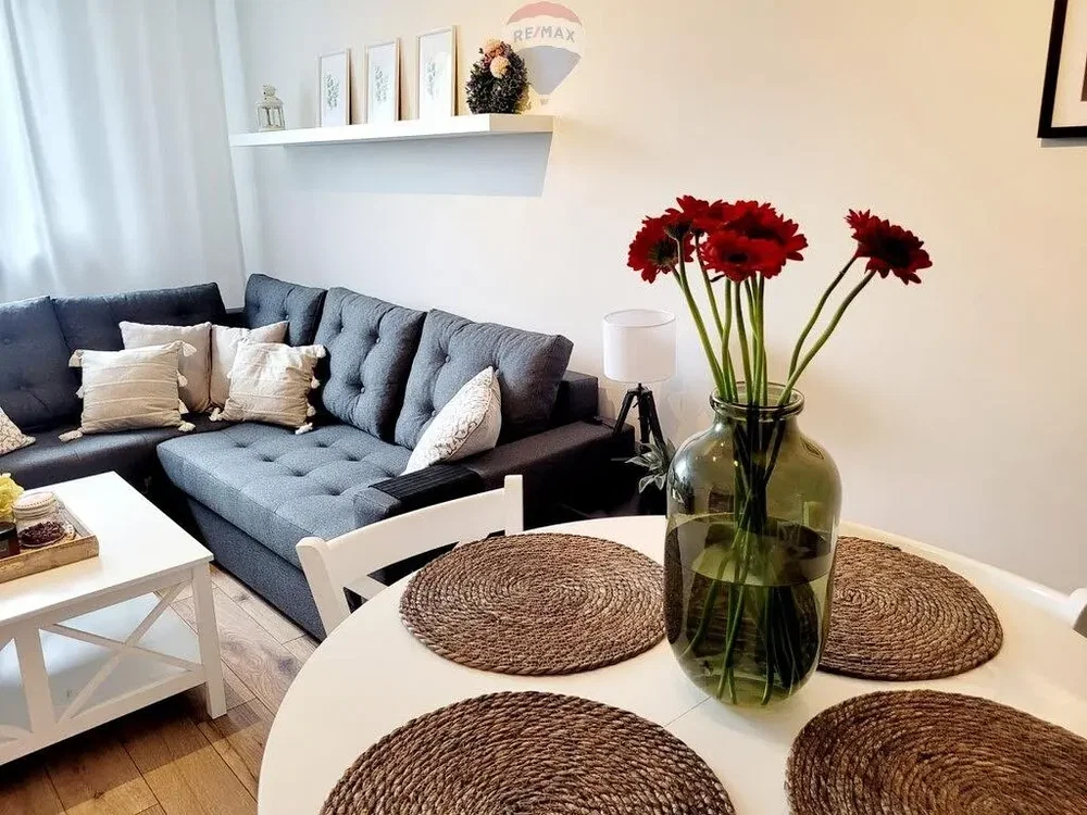 Salon; lumière naturelle, style moderne