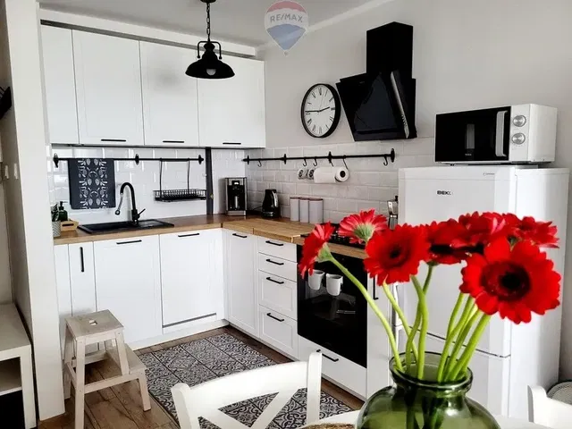 Kuchyně; kuchyňské spotřebiče, přirozené světlo, moderní styl