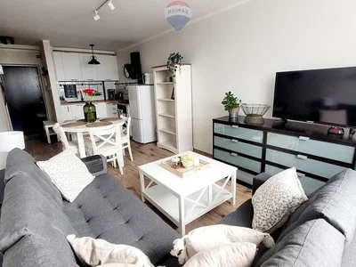 Salon; lumière naturelle, style moderne