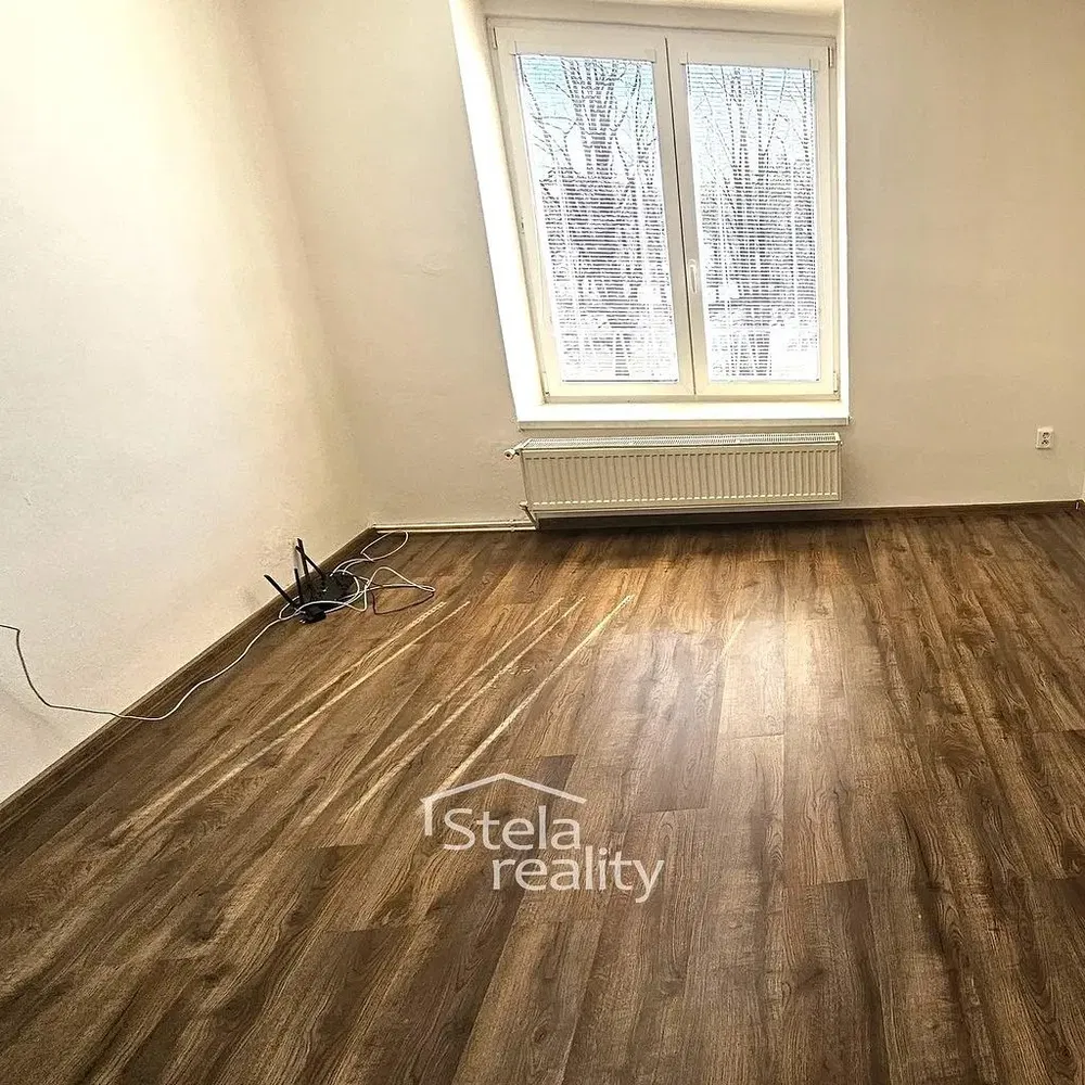 Ostatní; dřevěná podlaha, přirozené světlo