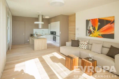 Wohnzimmer; küchengeräte, tageslicht, moderner stil