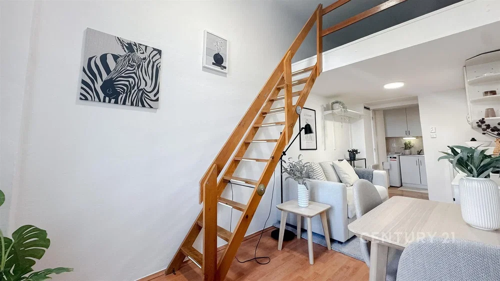 Obývací pokoj; přirozené světlo, moderní styl