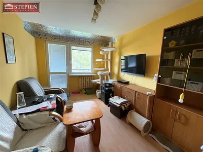 Oturma odası; doğal ışık, modern stil