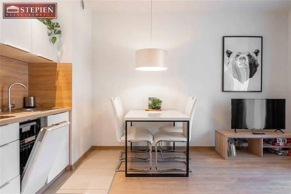 Kuhinja; kuhinjski aparati, moderni stil, prirodno svjetlo