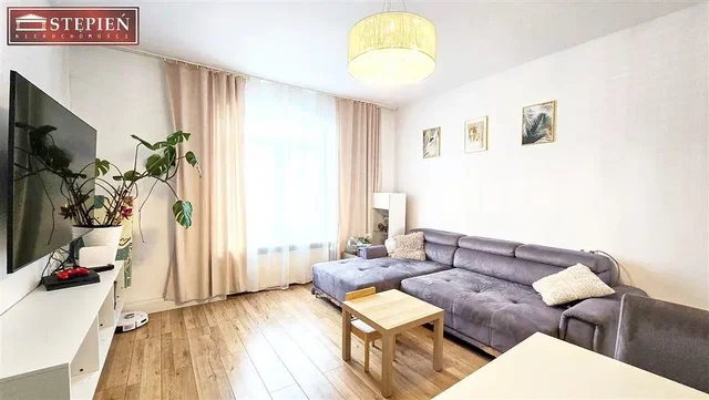 Salon; lumière naturelle, parquet, style moderne
