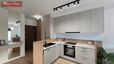 Kuhinja; kuhinjski aparati, drveni pod, prirodno svjetlo, moderni stil, renoviran
