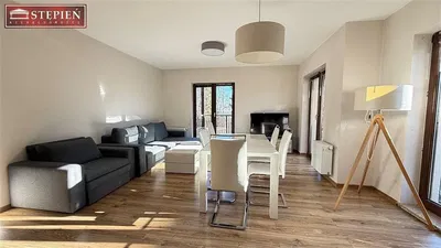 Salon; parquet, lumière naturelle, style moderne