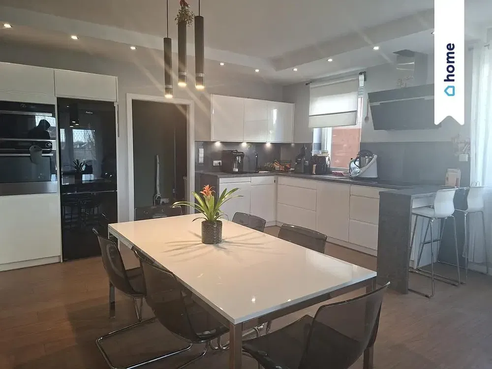 Cuisine; électroménager, lumière naturelle, style moderne