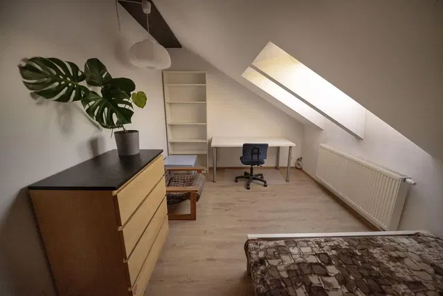 Sypialnia; światło dzienne, podłoga drewniana