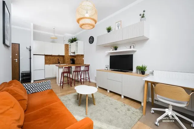 Salon; widok, światło dzienne, styl nowoczesny