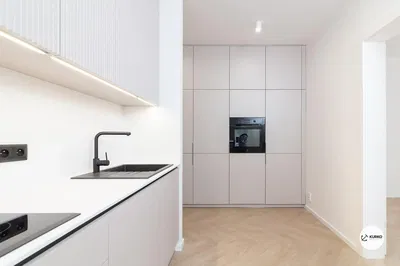 Cucina; elettrodomestici, ristrutturato, luce naturale, stile moderno, pavimento in legno