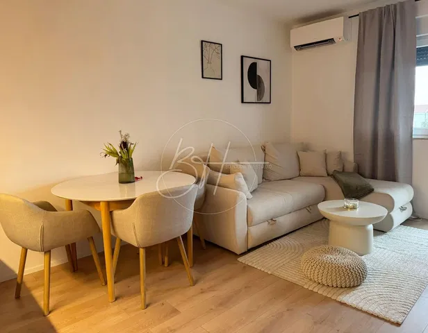 Salon; style moderne, lumière naturelle