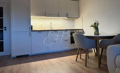 Cuisine; électroménager, parquet, lumière naturelle, style moderne