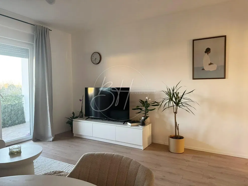 Salon; lumière naturelle, style moderne, parquet