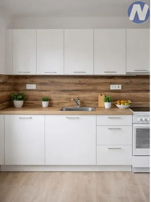 Cuisine; électroménager, lumière naturelle, style moderne