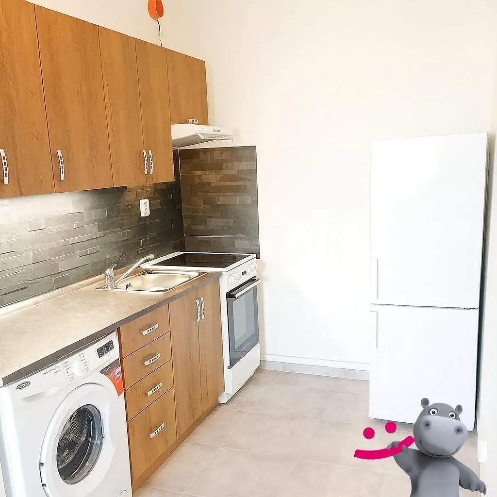 Cuisine; électroménager, lumière naturelle