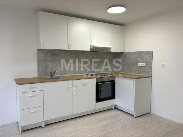 Kitchen; kitchen appliances, renovated