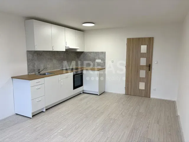 Kitchen; kitchen appliances, renovated, natural light