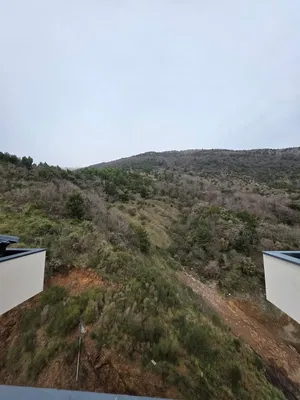 Тераса; поглед