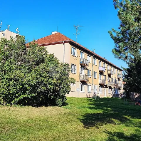 Dom i otoczenie; widok