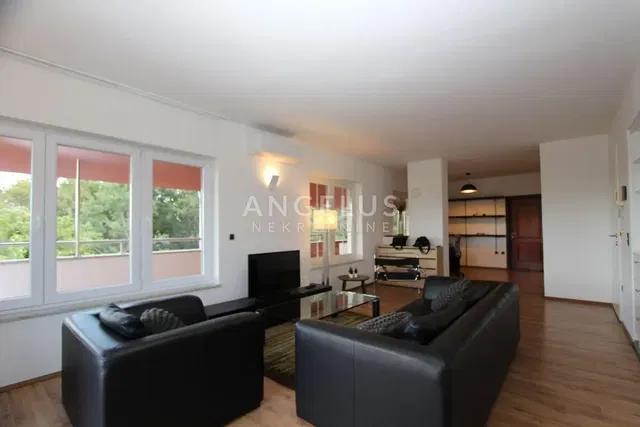 Salon; widok, światło dzienne