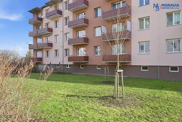 Ostatní