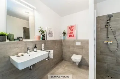 Kupaonica; pločice, renoviran, prirodno svjetlo, moderni stil