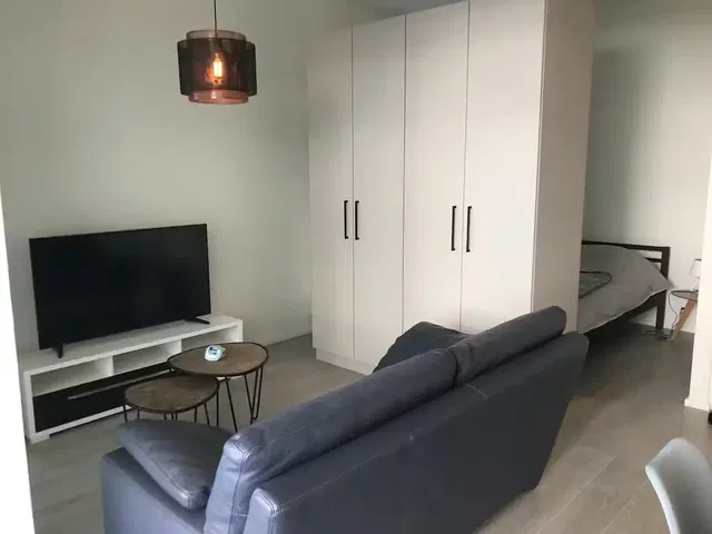 Salon; lumière naturelle, style moderne