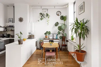 Mutfak; doğal ışık, modern stil