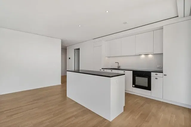 مطبخ; أجهزة المطبخ, أرضية خشبية, مجدد, ضوء طبيعي