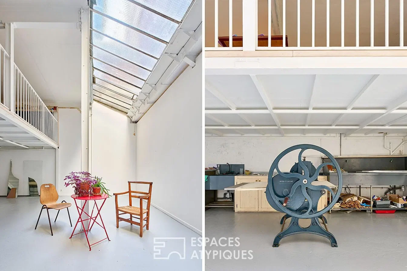 Oturma odası; yüksek tavan, doğal ışık