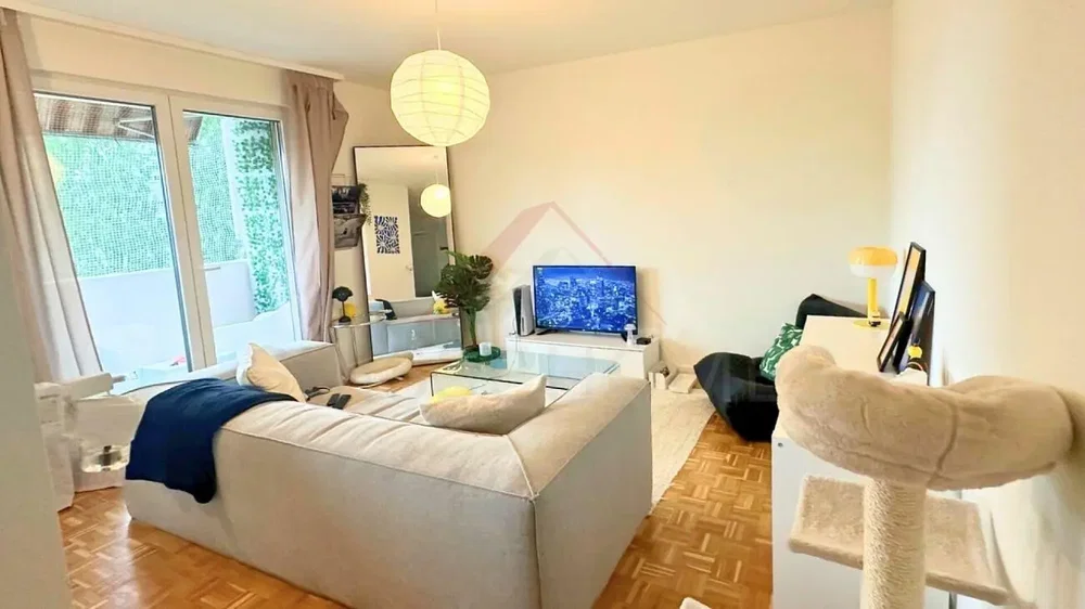 Salón; vista, luz natural, estilo moderno, suelo de madera